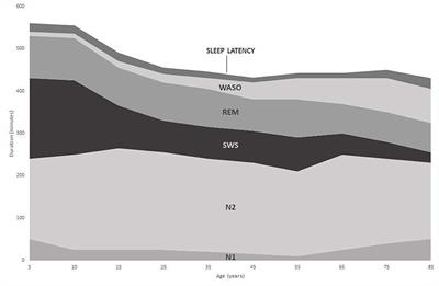 A Review of Equine Sleep: Implications for Equine Welfare